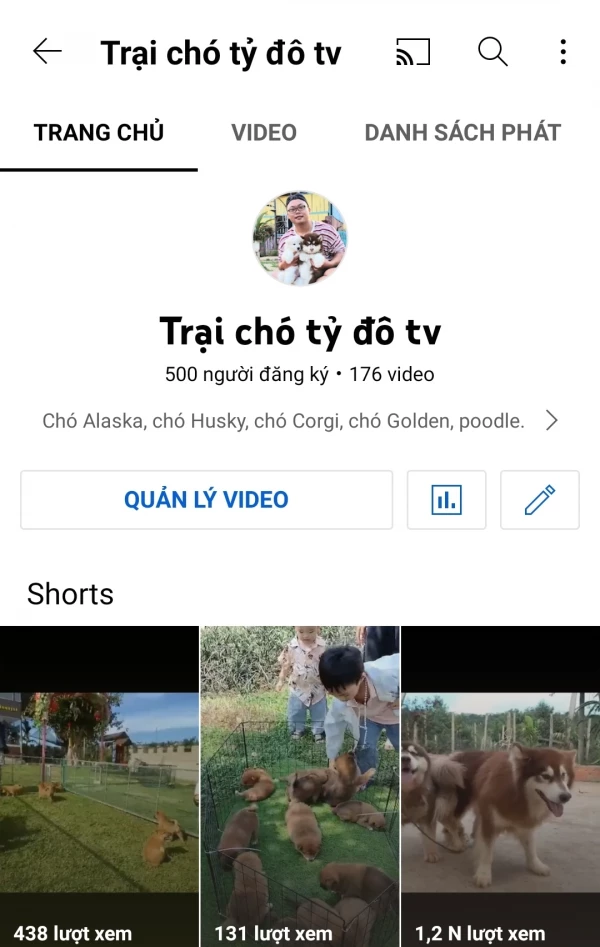 Trại chó tỷ đô tv