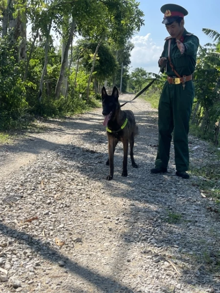 Migger Malinois  avatar